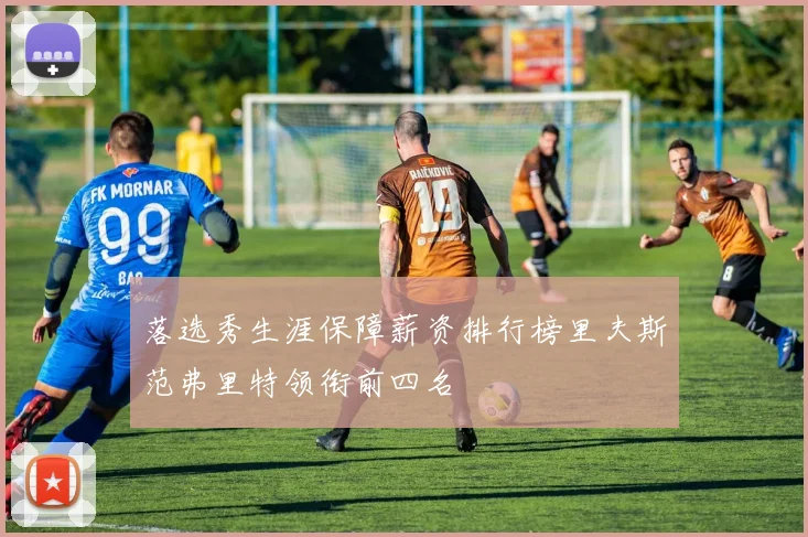 落选秀生涯保障薪资排行榜里夫斯范弗里特领衔前四名
